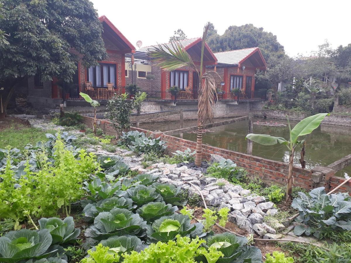 Chez Hiep Tam Coc Homestay 宁平 外观 照片